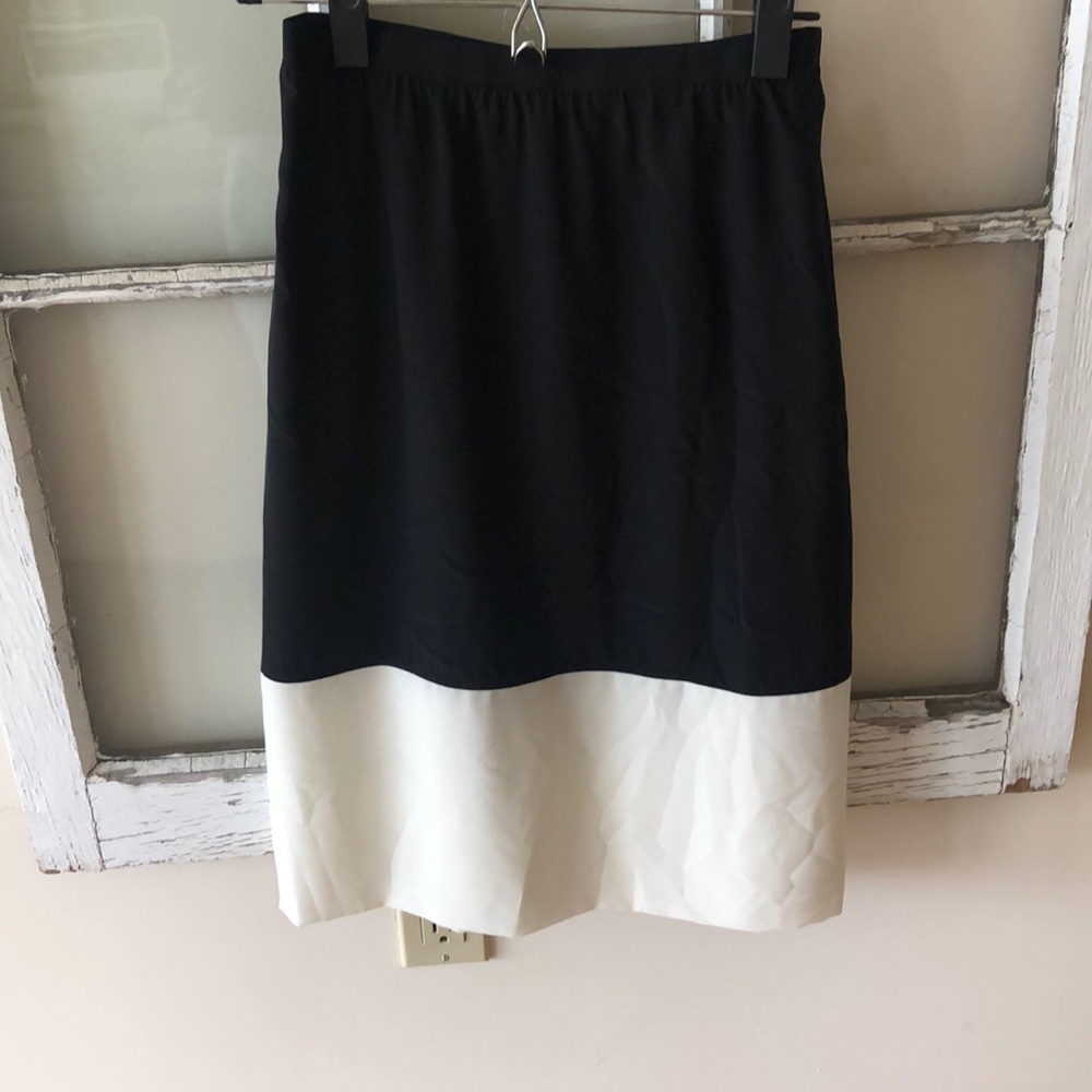 Club Monaco silk skirt with small back slit